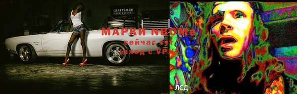 ПСИЛОЦИБИНОВЫЕ ГРИБЫ Новокубанск