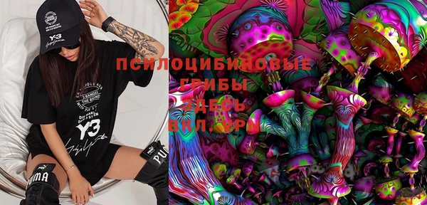 ПСИЛОЦИБИНОВЫЕ ГРИБЫ Новокубанск