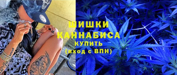 стафф Новодвинск