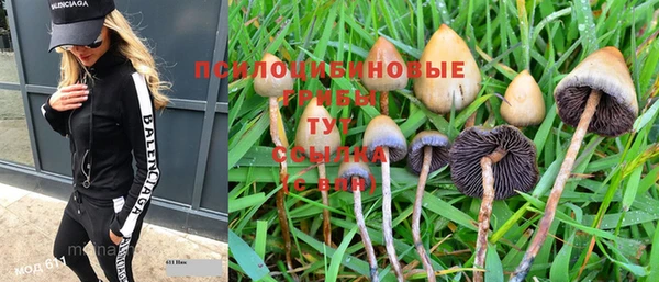 ПСИЛОЦИБИНОВЫЕ ГРИБЫ Новокубанск