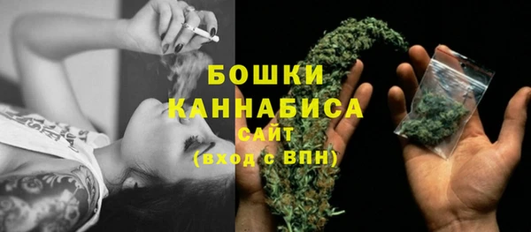 стафф Новодвинск