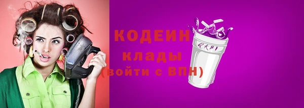 2c-b Новозыбков