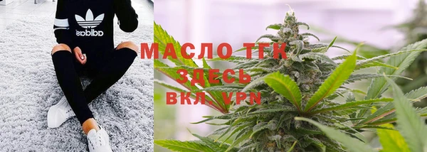 стафф Новодвинск