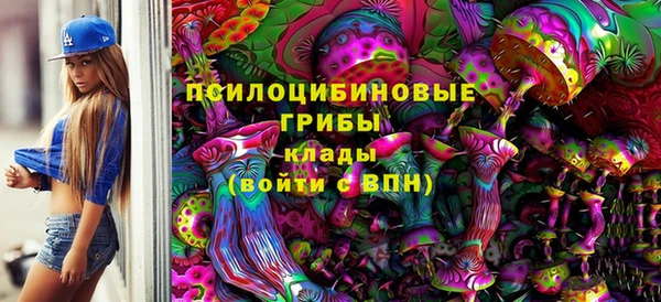 apvp Нефтекумск