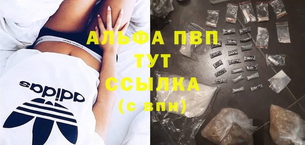 стафф Новодвинск