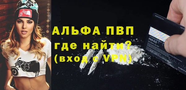стафф Новодвинск