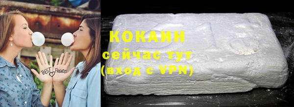 2c-b Новозыбков
