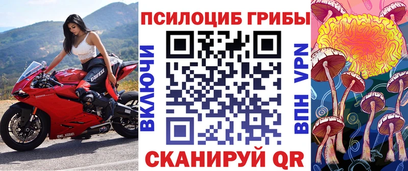 Псилоцибиновые грибы Psilocybe  купить закладку  Нижняя Тура 